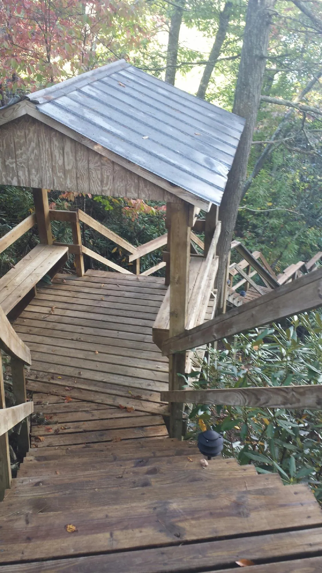 Metal roofed shelter over wooden steps on a wooded walkway — Skylight Repair & Installation work by our crew in Toutle