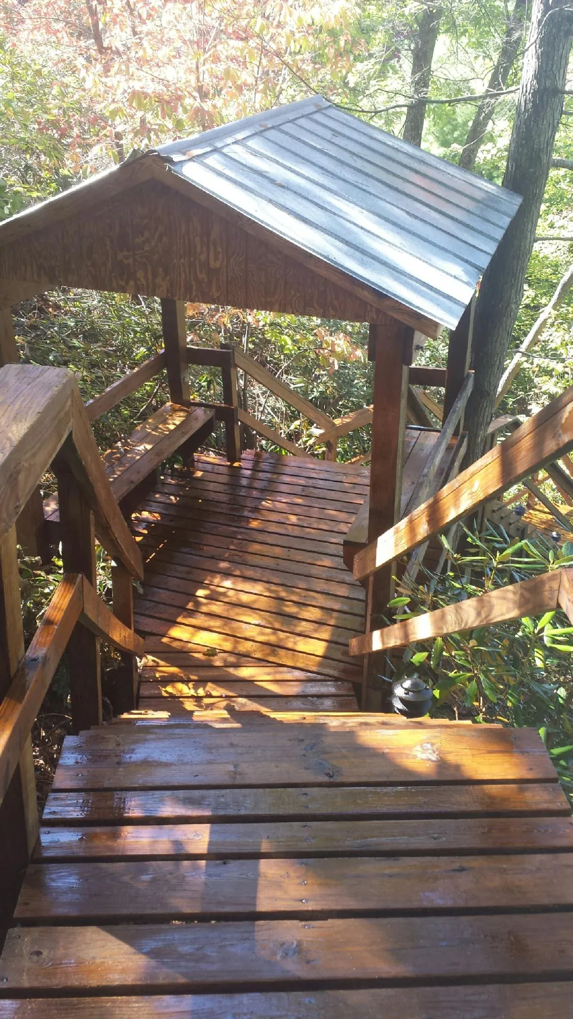 Freshly stained wood walkway and covered shelter with a metal roof in Toutle